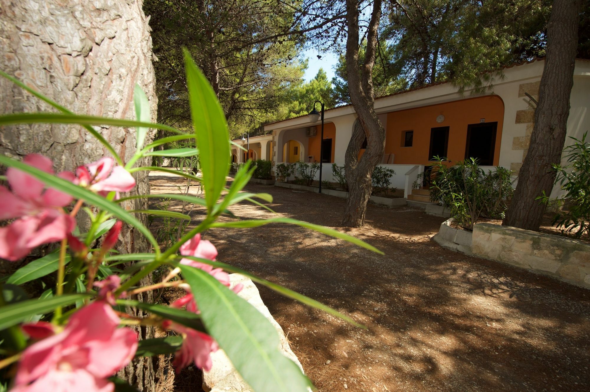 Villaggio Gargano Βιέστε Εξωτερικό φωτογραφία
